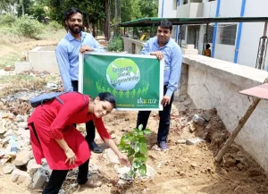 Tree Plantation